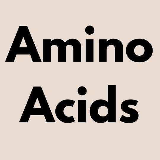 Amino Acids